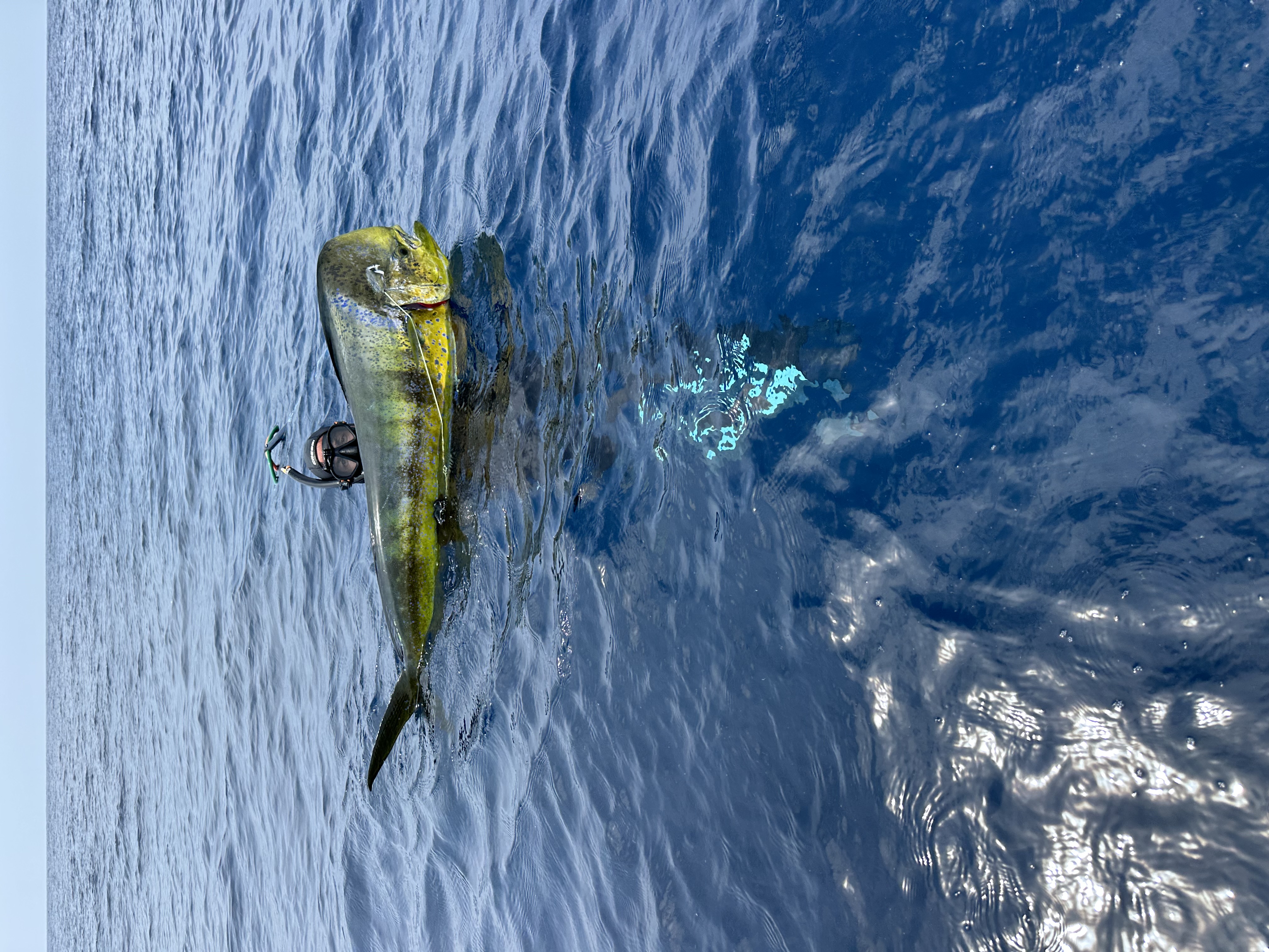 Pesca Oceânica